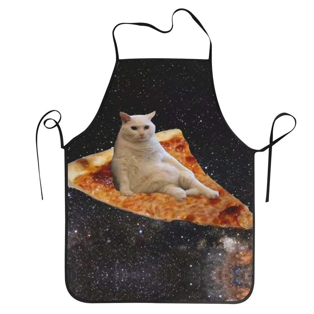 1PC Unisex Space Pizza Cat Apr - Home Cooking For Cats recension och pris