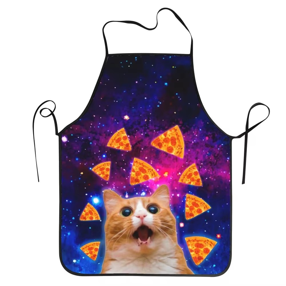 1PC Unisex Space Pizza Cat Apr - Home Cooking For Cats recension och pris