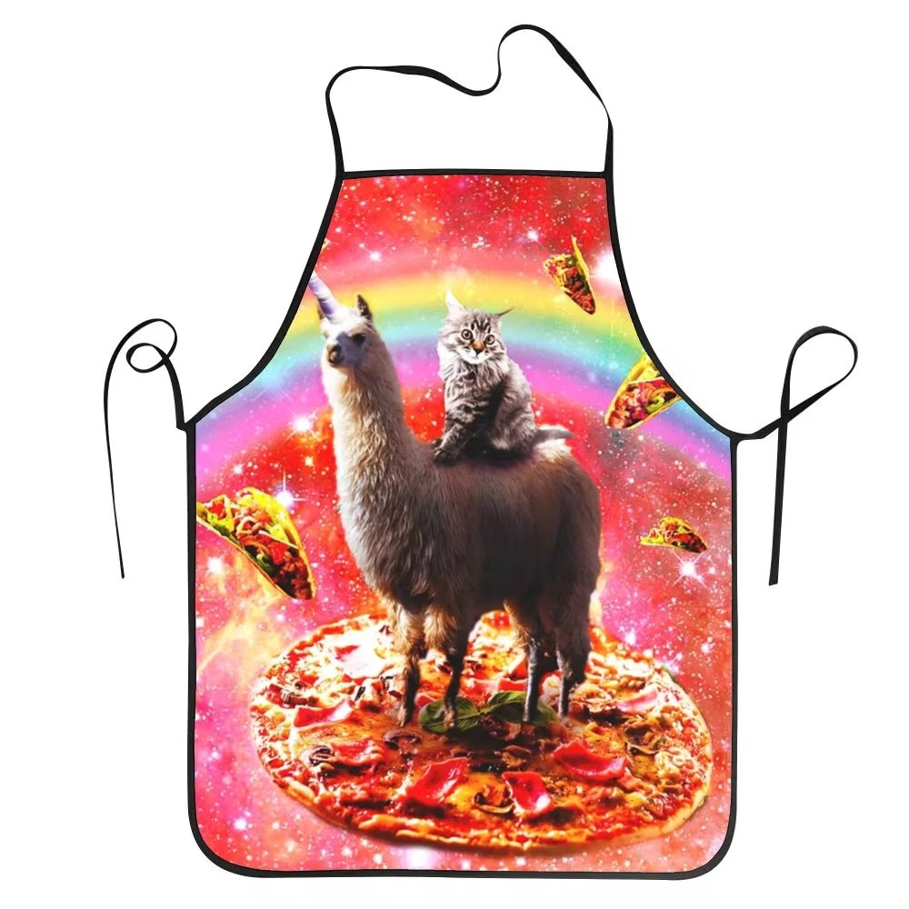 1PC Unisex Space Pizza Cat Apr - Home Cooking For Cats recension och pris