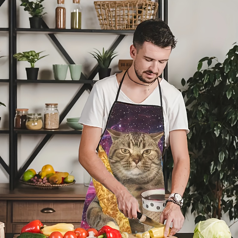 Galaxy Tabby Cat Holding Beer  - Home Cooking For Cats recension och pris