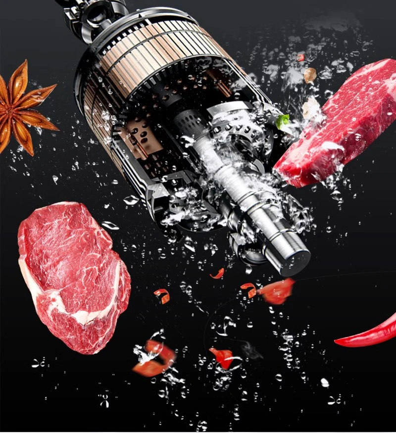 110V/220V Commercial Sous Vide - Home Cooking Steak recension och pris