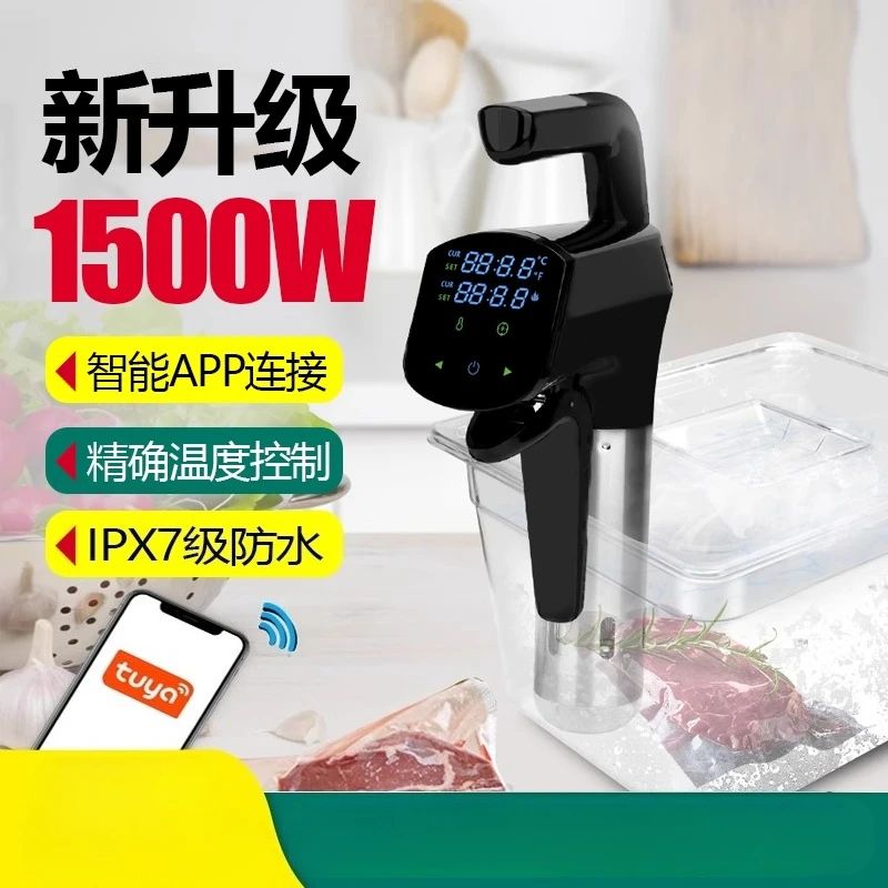 110V/220V Commercial Sous Vide - Home Cooking Steak recension och pris