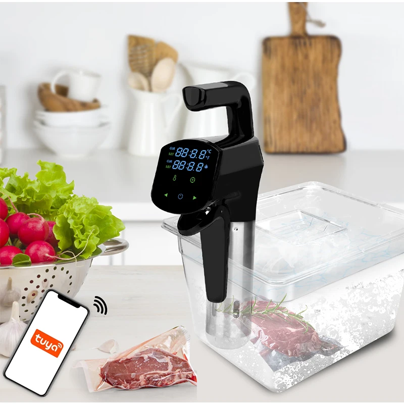 110V/220V Commercial Sous Vide - Home Cooking Steak recension och pris